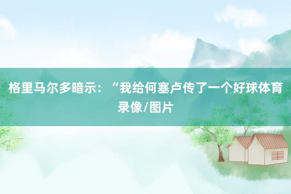 格里马尔多暗示：“我给何塞卢传了一个好球体育录像/图片