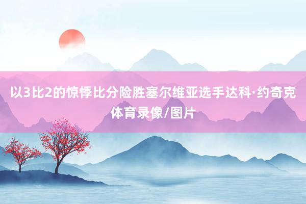 以3比2的惊悸比分险胜塞尔维亚选手达科·约奇克体育录像/图片