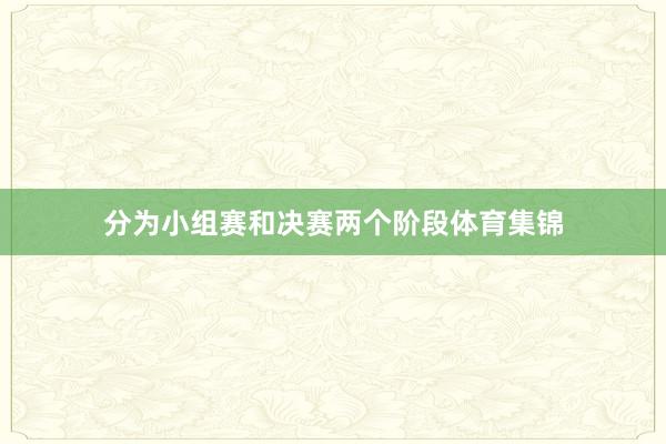 分为小组赛和决赛两个阶段体育集锦