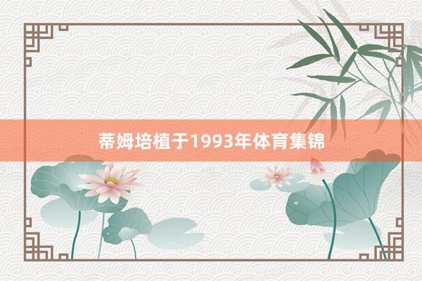 蒂姆培植于1993年体育集锦