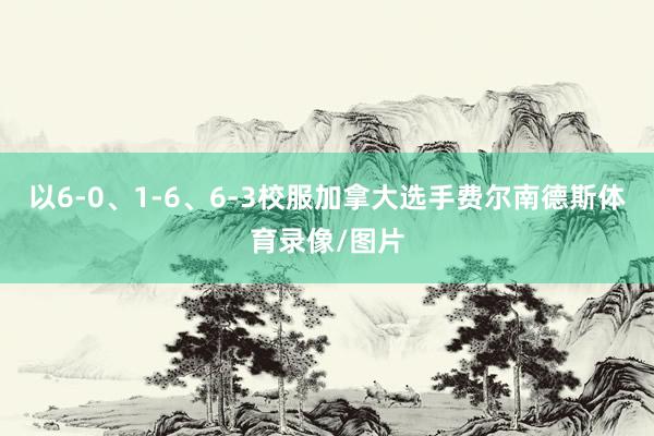 以6-0、1-6、6-3校服加拿大选手费尔南德斯体育录像/图片